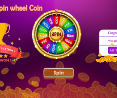 You Get What You Pay For: Exploring the Value of Real Money Spin Games